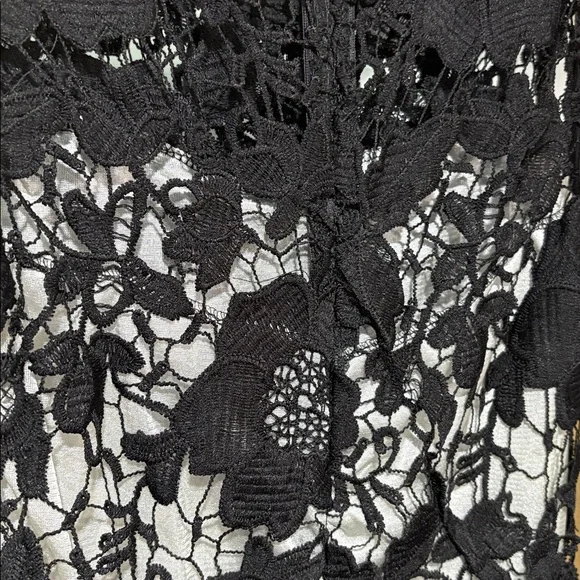 Elegant Black Crochet Lace Dress - Picture 3 of 4